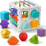 Anubhav Janni Shape Sorter Toys For Kids Shapes Montessori Toddler Soothing Kids Interactive Early Educational Sorter Toy Kids Baby Preschool Wooden Plastic Box (Pack Of 1 Pcs)