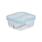 Anubhav Janni Lunch Box 2 Partiton 1 Ltr Glass Tiffin for Office Women Borosilicate Microwave Freezer Safe Leak Proof with Safety Lock Airtight Lids Transparent