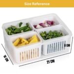 Anubhav Janni 4 Grid Fridge Storage Container Box  Drain Tray Freezer Vegetables Fruits Kitchen Pantry Vegetable Boxes Organiser Containers Kitchen Box Containers Boxes (Pack Of 1 Pcs) - Image 4