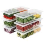 Anubhav Janni Fish Vegetable Storage Container Ridge Containers Fridge Organiser Boxes Vegetables Fresher Organizer With Plate Keeps Vegetables Leak Proof Freezer For Fish Fruits (Pack Of 2 Pcs)