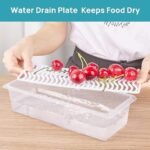 Anubhav Janni Fish Vegetable Storage Container Ridge Containers Fridge Organiser Boxes Vegetables Fresher Organizer With Plate Keeps Vegetables Leak Proof Freezer For Fish Fruits (Pack Of 2 Pcs) - Image 7