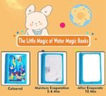 Anubhav Janni Water Magic Coloring Books with Refillable Pens No-Mess Water Reveal Activity Book Set for Kids Reusable Travel-Friendly ( pack of 2 ) - Image 6