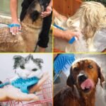 Anubhav Janni Dog Brush Pet Bathing Tool Multifunctional Comfort Massager Shower Cleaning Washing Sprayers with Sprayer Indoor Outdoor Attachment And Scrubber Bath Adaptors (Pack Of 1 Pcs) - Image 8