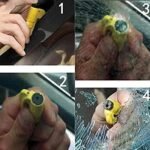 Avantara Creation 3 In 1 Super Mini Safety Window Glass Breaker In Seat Belt Cutter Rescue Hammer Car Life Saving Escape Tool Emergency Breaker Seatbelt Cutter And Puncher Cutter (Pack Of 1 Pcs) - Image 6