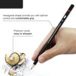 Anubhav Janni Graded Pencil Set With Metal Case Drawing Sketching Kit Artist Graphite Professional  With In Elegant Tin Box Black For Artists And Designers Art (Set Of 1) - Image 5