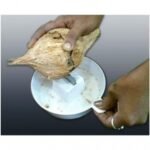 Anubhav Janni Coconut Breaker Cracker High Quality Manual Opening Tool Durable Stainless Steel and Ergonomic Design For Efficient Cracking Essential Kitchen Fresh Water (Pack Of 1 Pcs) - Image 4