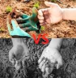 Anubhav Janni Gardening Gloves Rubber Coated Thorn Proof Waterproof With Sturdy Plastic Claws For Digging Planting And Other Farming Breathable Hand Fingertips Digging Pair Garden (1 Pair) - Image 4
