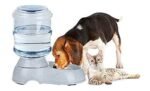 Anubhav Janni Dog Water Dispenser Automatic Pet Food for Cat Self Dispensing Feeding Small Pets Bowl Or Centimeters (Pack Of 1 Pcs) - Image 3