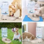 Anubhav Janni Dog Water Dispenser Automatic Pet Food for Cat Self Dispensing Feeding Small Pets Bowl Or Centimeters (Pack Of 1 Pcs) - Image 7