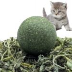 Anubhav Janni Cat Teeth Cleaning Ball Edible Catnip Chew Toy Cats Natural Rotatable Mint Cleaning Biting Licking Safe Interactive Kittens Adult Playing Claw Healthy Cat Kitten (Pack Of 2 Pcs) - Image 2
