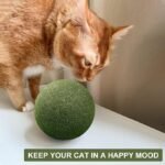 Anubhav Janni Cat Teeth Cleaning Ball Edible Catnip Chew Toy Cats Natural Rotatable Mint Cleaning Biting Licking Safe Interactive Kittens Adult Playing Claw Healthy Cat Kitten (Pack Of 2 Pcs) - Image 4