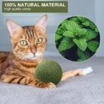 Anubhav Janni Cat Teeth Cleaning Ball Edible Catnip Chew Toy Cats Natural Rotatable Mint Cleaning Biting Licking Safe Interactive Kittens Adult Playing Claw Healthy Cat Kitten (Pack Of 2 Pcs) - Image 5