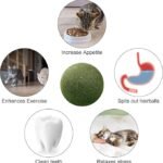 Anubhav Janni Cat Teeth Cleaning Ball Edible Catnip Chew Toy Cats Natural Rotatable Mint Cleaning Biting Licking Safe Interactive Kittens Adult Playing Claw Healthy Cat Kitten (Pack Of 2 Pcs) - Image 6