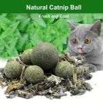 Anubhav Janni Cat Teeth Cleaning Ball Edible Catnip Chew Toy Cats Natural Rotatable Mint Cleaning Biting Licking Safe Interactive Kittens Adult Playing Claw Healthy Cat Kitten (Pack Of 2 Pcs) - Image 7
