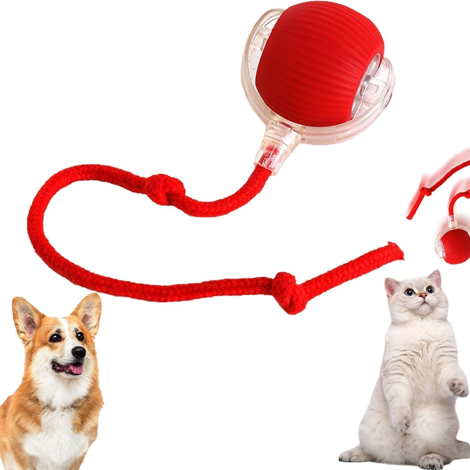 Anubhav Janni Automatic Cat Teaser Ball Smart Interactive Rolling Dog Toy Electric Motion Pet with LED Lights USB Rechargeable Exercise For Small Medium Dogs Rope Moving Balls (Pack Of 1 Pcs) Anubhav Janni Automatic Cat Teaser Ball Smart Interactive Rolling Dog Toy Electric Motion Pet with LED Lights USB Rechargeable Exercise For Small Medium Dogs Rope Moving Balls (Pack Of 1 Pcs) - Image 1