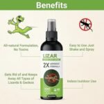 Anubhav Janni Lizard Repellent Spray Herbal Pest Control for Lizard-Free Home 2X Advance Formula Chemical-Free Safe Solution Odour-Free Non-Toxic Biodegradable Home Kitchen (pack of 1) - Image 2