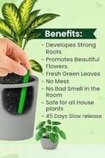 Anubhav Janni Plant Food Sticks for Indoor Outdoor Plants – Organic Fertilizer Stronger Roots Plant Slow Release Healthy Growth Flowers Fruits Growth Booster Home (pack of 1) - Image 5