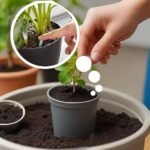 Anubhav Janni Plant Food Sticks for Indoor Outdoor Plants – Organic Fertilizer Stronger Roots Plant Slow Release Healthy Growth Flowers Fruits Growth Booster Home (pack of 1) - Image 8