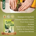 Anubhav Janni Plant Food Sticks for Indoor Outdoor Plants – Organic Fertilizer Stronger Roots Plant Slow Release Healthy Growth Flowers Fruits Growth Booster Home (pack of 1) - Image 9