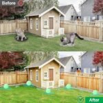 Anubhav Janni Cat and Dog Repellent for Home Garden Natural Peppermint Oil Pet Deterrent to Prevent Scratching Chewing on Furniture Curtains Plants Indoor Outdoor Use Safe Family (pack of 1) - Image 6