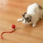 Anubhav Janni Red Cat Teaser Ball Pet Toy Automatic Rolling Toy Modes Teasing Tail USB Rechargeable Ribbon Wand Dancing Dog Toys For Indoor Cats Fast On Carpet Smart Ball (Pack Of 1 Pcs) - Image 3