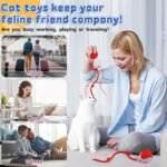 Anubhav Janni Red Cat Teaser Ball Pet Toy Automatic Rolling Toy Modes Teasing Tail USB Rechargeable Ribbon Wand Dancing Dog Toys For Indoor Cats Fast On Carpet Smart Ball (Pack Of 1 Pcs) - Image 5