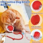 Anubhav Janni Red Cat Teaser Ball Pet Toy Automatic Rolling Toy Modes Teasing Tail USB Rechargeable Ribbon Wand Dancing Dog Toys For Indoor Cats Fast On Carpet Smart Ball (Pack Of 1 Pcs) - Image 9