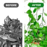 Anubhav Janni Plant Clip Wall Hook Plastic Self Adhesive Invisible Vines Binding Support Fixing Clips Plants Garden Holders Hooks Self Vine Cable Organizer Indoor Outdoor (Set Of 30 Pcs) - Image 7