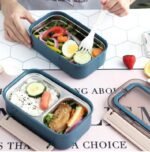 Anubhav Janni 2 Grid Lunch Box For Family Members Compartment Stainless Boxes Spoon Lock Leak Proof BPA Free Spoon Tiffin School Kids Office Boys Girls (Pack Of 1 Pcs) - Image 6