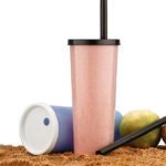 Anubhav Janni Juicer Bottle With Straw Plastic Juice Water Bottle Airtight Sipper For Juices Drinks Milk Shake Coco Fridge Glass With Straw Travel Reusable (Set Of 2 Pcs)