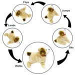 Anubhav Janni Jumping, Walking and Barking Dog Soft Toy Fantastic Puppy Battery Operated Back Flip Jumping Jump Run Kid for Kids Boys Girls (pack of 1) - Image 5