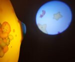 Anubhav Janni Little Angel Star Projector Sleeping Night Baby Sleep Light With Music Kids Starry Sky Lamp For Bedroom Nursery Relaxation Show New Born Toy Pleasant Gentle Music (Pack Of 1 Pcs) - Image 4
