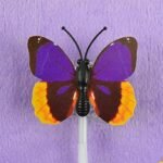 Anubhav Janni LED Flashing Light Butterfly Hair Clip  Braid Optical Fibber Hairpin Party Décor Girl and Women Favours Pin ( pack of 1 ) - Image 4