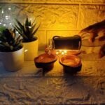 Anubhav Janni Water Sensor Diya Set  Electric Flameless Smokeless LED Diyas for Diwali Festival Balcony Home Office Decor Useful Festivals ( pack of 1 ) - Image 5