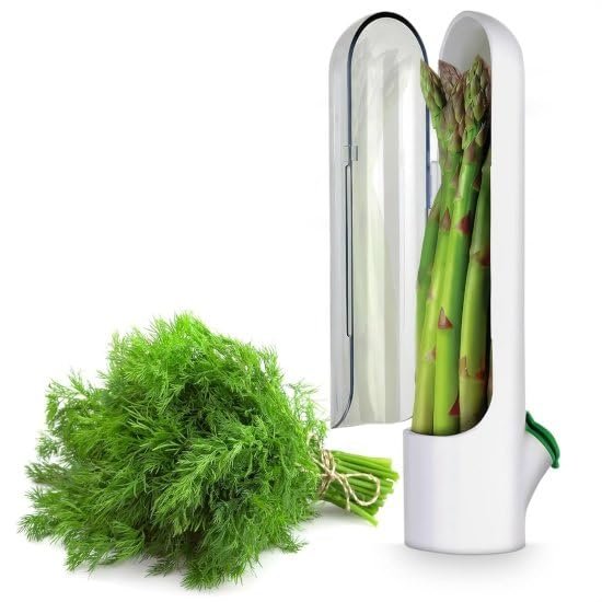 Anubhav Janni Herb Saver Pod Fresh Keeper Refrigerator Mint Basil Coriander Container Fridge Transparent Storage Pods Refrigerator Pod Greens Longer Ideal Coriander Mint Parsley (Pack Of 1 Pcs) Anubhav Janni Herb Saver Pod Fresh Keeper Refrigerator Mint Basil Coriander Container Fridge Transparent Storage Pods Refrigerator Pod Greens Longer Ideal Coriander Mint Parsley (Pack Of 1 Pcs) - Image 1