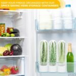 Anubhav Janni Herb Saver Pod Fresh Keeper Refrigerator Mint Basil Coriander Container Fridge Transparent Storage Pods Refrigerator Pod Greens Longer Ideal Coriander Mint Parsley (Pack Of 1 Pcs) - Image 4
