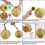 Anubhav Janni Steel Coconut Opener Stainless Drill Cutter Tool Water Opener Tool Driller Machine Knife Driller Knife Easy Machine Heavy Duty Hand for Home Kitchen (Pack Of 1 Pcs) - Image 3