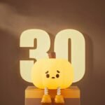 Anubhav Janni Pumpkin Night Light For Kids Soft Silicone LED Lamp Dimmable USB Rechargeable Cute Halloween Decor Baby Room Bedroom Bedside Touch Decor Kids Funny Office Desk (Pack Of 1 Pcs) - Image 5