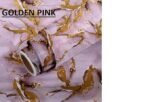 Anubhav Janni Golden Pink Marble Foil Kitchen Wallpaper Oil Proof  Heat Resistant Aluminium Wallpaper Hotel Bedroom Café Living Room Cabinets Waterproof Contact Vinyl (Pack Of 1 Pcs) - Image 3