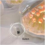 Anubhav Janni Shell Tulip Lamp Night Light Table Decorative Bedside Romantic Home Decor LED Desk Bedroom DIY Flower Lamp Night Lamp Cute Shells Girlfriend Soft Warm Living Room (Pack Of 1 Pcs) - Image 3