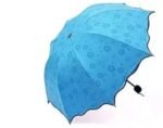 Anubhav Janni Magic Umbrella Shape Mini Compact Foldable With Plastic Case Manual lift Folding Portable Cover For UV Protection Rain Unisex Windproof Travel Women Men Kids (Pack Of 1 Pcs)