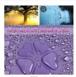 Anubhav Janni Magic Umbrella Shape Mini Compact Foldable With Plastic Case Manual lift Folding Portable Cover For UV Protection Rain Unisex Windproof Travel Women Men Kids (Pack Of 1 Pcs) - Image 3