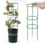 Anubhav Janni Plant Supporter Device Support Stakes Ring Cage Holder Flower Pot Climbing Trellis Vegetable Cages Durable Brackets Climbers Vines Flowers Suitable Indoor Outdoor (Pack Of 1 Pcs) - Image 2