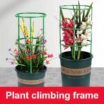 Anubhav Janni Plant Supporter Device Support Stakes Ring Cage Holder Flower Pot Climbing Trellis Vegetable Cages Durable Brackets Climbers Vines Flowers Suitable Indoor Outdoor (Pack Of 1 Pcs) - Image 5